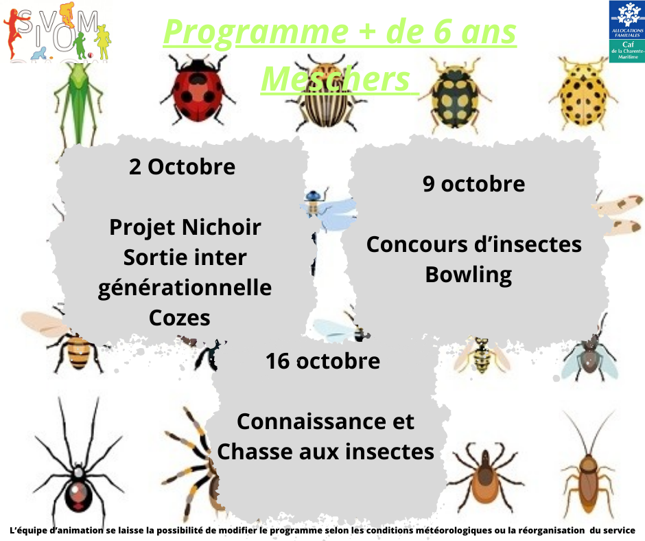 Programme meschers mercredis d octobre + 6 ans